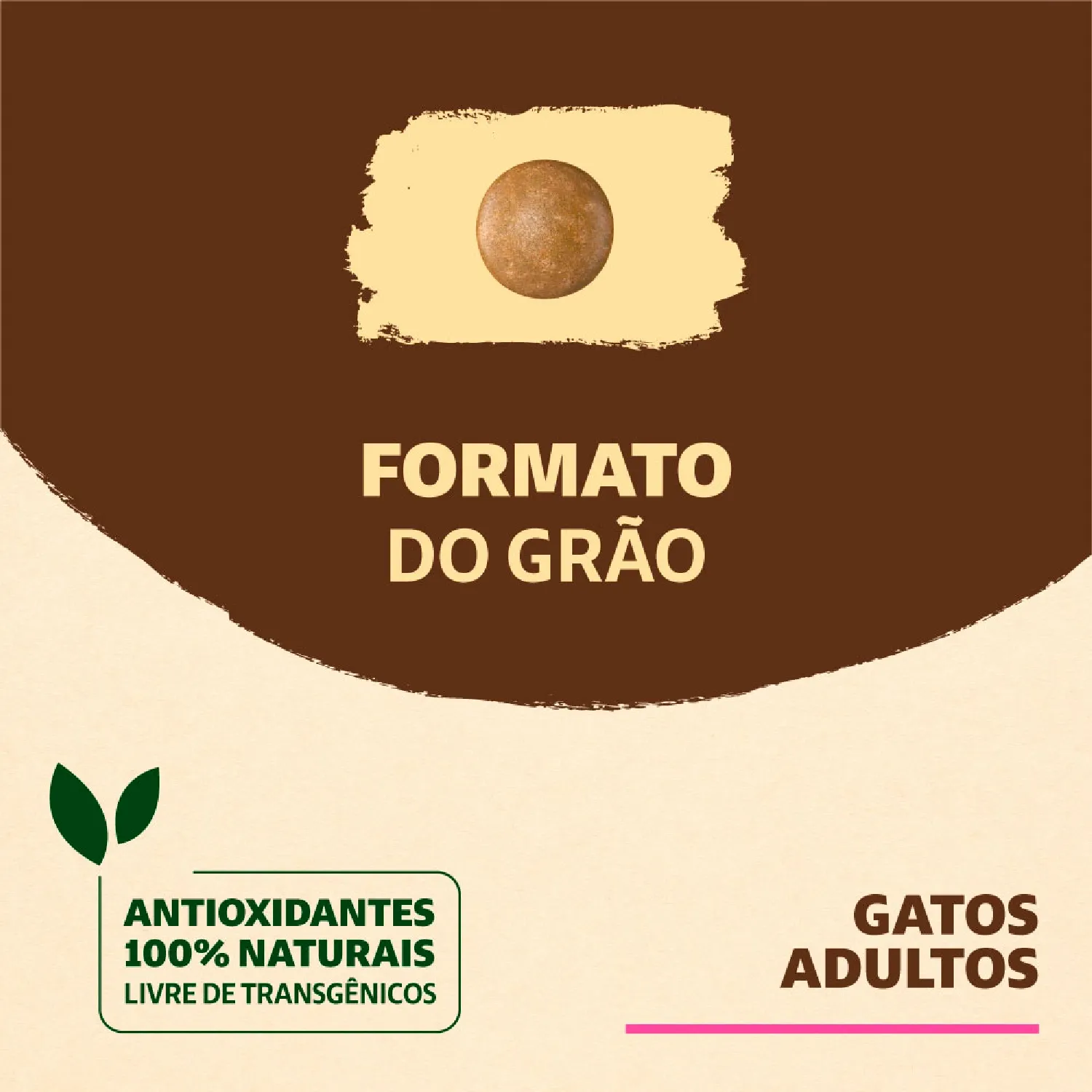 Racao Quatree Supreme Gatos Adultos Salmao graos da racao-07